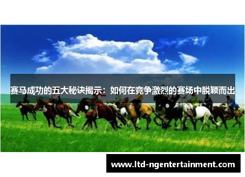 赛马成功的五大秘诀揭示：如何在竞争激烈的赛场中脱颖而出