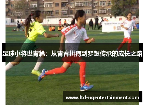 足球小将世青篇：从青春拼搏到梦想传承的成长之路