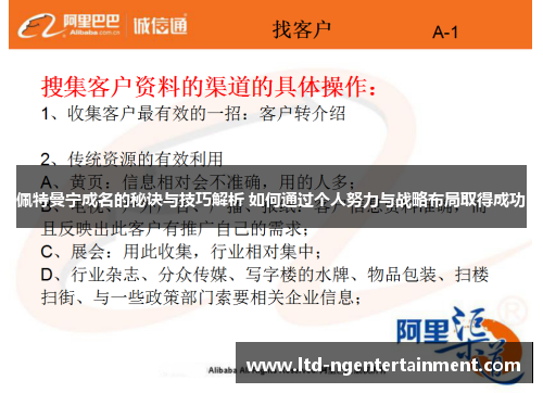 佩特曼宁成名的秘诀与技巧解析 如何通过个人努力与战略布局取得成功