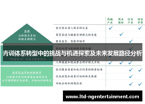 青训体系转型中的挑战与机遇探索及未来发展路径分析