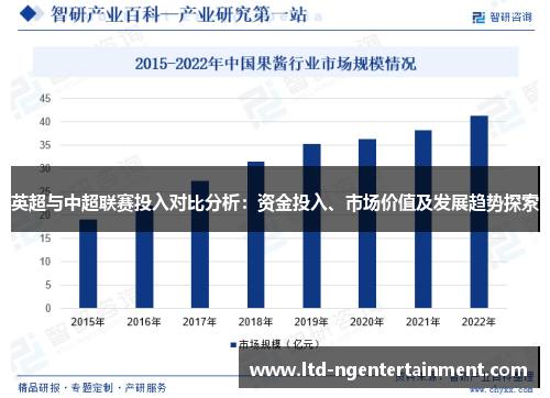 英超与中超联赛投入对比分析：资金投入、市场价值及发展趋势探索