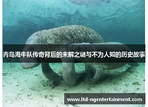 青岛海牛队传奇背后的未解之谜与不为人知的历史故事