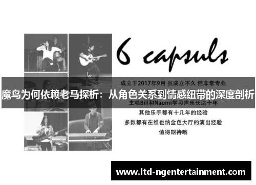 魔鸟为何依赖老马探析:从角色关系到情感纽带的深度剖析 魔鸟为何依赖老马探析:从角色关系到情感纽带的深度剖析